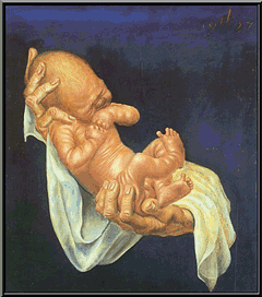 Newborn baby on hands